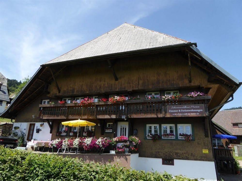 Schwarzwaldhaus Kathi Apartment Todtmoos Exterior photo